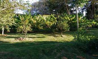 Imagem 4: Sítio, Região de Porto Feliz SP