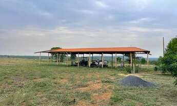 Imagem 5: Area rural na beira do manso 15hectares aceito carro parcelo