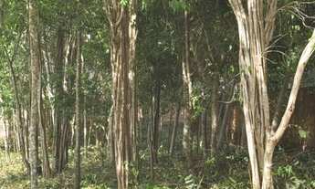 Imagem 2: Fazenda Real- Excelente terreno