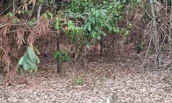 Imagem 2: Terreno na estrada da Ponte Alta