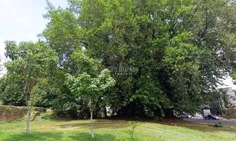 Imagem 4: Terreno - Jardim Santa Judith - Campinas