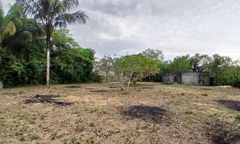 Imagem 3: Chacara no ramal do janauari