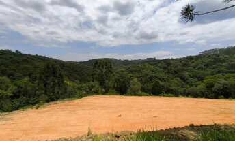 Imagem 2: Área 20.003m² Campo Largo, Bateias, doc 100%, lavoura, bosque, rio