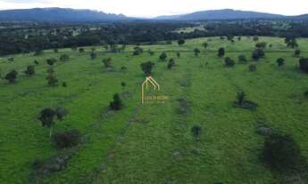 Imagem 4: Fazenda à Venda de 113 Hectares no Cáceres-MT