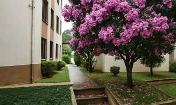 Imagem: Apartamento Grande - Bairro América