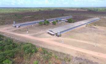 Imagem: R$5 milhões de reais 3 galpão granja 75