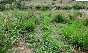 Imagem 3: Chácara em Santana do paraíso