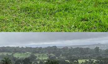 Imagem 4: Fazenda de 33 alqueires em Ivolândia - Goiás