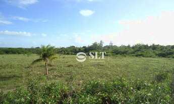 Imagem: S0032 - Terreno à venda, 6200 m² por R$