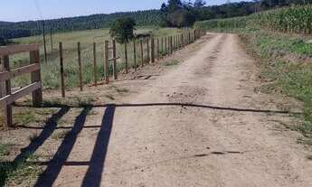 Imagem 7: FAZENDA TOP PRODUTIVA, DIRETO COM O PROPRIETÁRIO, ÓTIMO INVESTIMENTO!!!