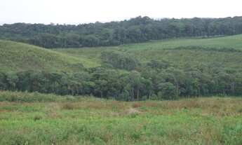 Imagem 4: FAZENDA com 1 dormitório à venda com 761574m² por R$ 10.000.000,00 no bairro Centro - BOCA