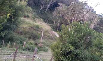 Imagem 4: Sitio furbino Chácara com venda por R$280.000