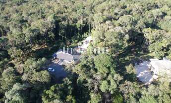 Imagem 3: Fazenda/Sítio/Chácara para venda possui 5023 metros quadrados em Borda do Campo - Quatro B