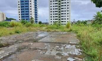 Imagem 6: TERRENO PLANO COM 3.205 m2, EM RUA AMAZONAS, NO CABULA