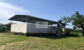 Imagem 4: Chácara à venda no bairro Centro - Araquari/SC