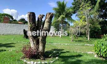 Imagem 7: Venda Sítio Centro Camaçari