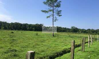 Imagem 2: Chácara à venda no bairro Centro - Araquari/SC