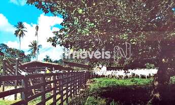 Imagem 10: Venda Fazenda Fazenda Exemplo Cachoeira