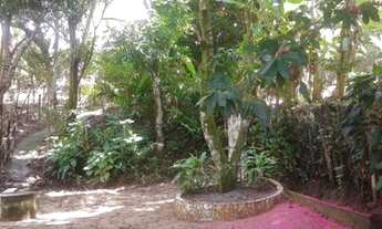 Imagem 4: Casa Na Ilha Oferta Imperdível. !!!!