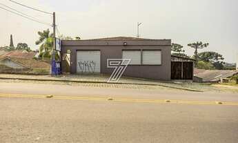 Imagem 2: São Lourenço é um bairro tranquilo, com ruas charmosas e arborizadas, conhecida pelas resi