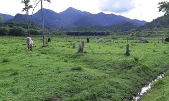 Imagem 4: Ótimo Sítio 74 Mil Metros2 - Escriturado - 900Mil - Ana Dias