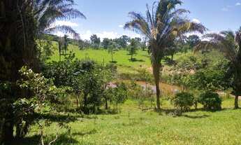 Imagem 7: Fazenda para venda com 25,5 alqueires Corumbá de Goiás- Go