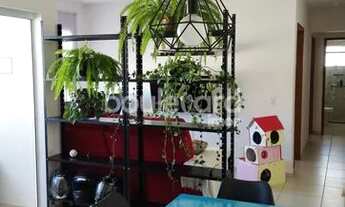 Imagem 6: Apartamento de 2 dormitórios | Serraria