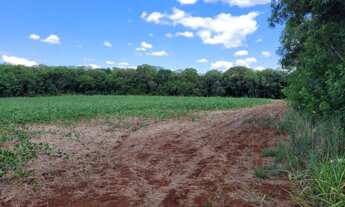 Imagem 5: AR 1021) 12 Hectares - Colonia Mousquer