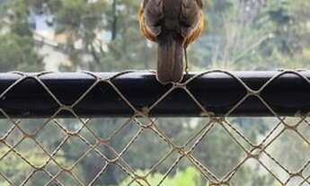 Imagem 7: Apartamento Face Norte para venda tem 128 metros, 3 suítes, terraço gourmet, 2 vagas e laz