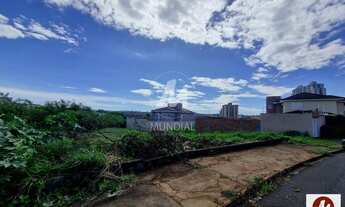 Imagem 2: Terreno (terreno normal