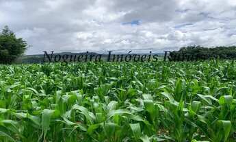 Imagem: Fazenda com 129 alqueires em Bofete - SP