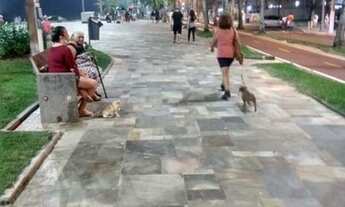 Imagem 5: Apartamento Aconchegante