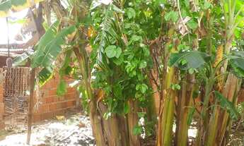 Imagem 7: Vendo ou troco casa em Serrinha-Ba a tres quilômetros do centro