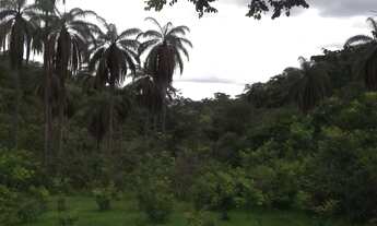 Imagem 2: Lote rural de 36.000m ²,belíssima vista, nascente de água, Serra do Cipo