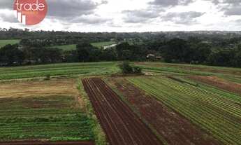 Imagem 7: Apartamento 3 dormitorios Zona Sul