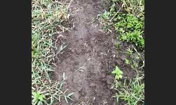 Imagem 4: Fazenda em Ribeira do pombal Bahia