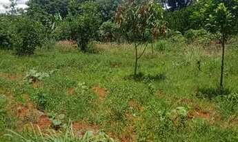 Imagem 6: Chácara 5 mil metros