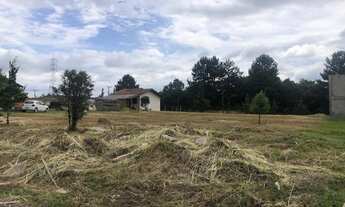 Imagem 4: Terreno para Venda em São Bento do Sul, Progresso
