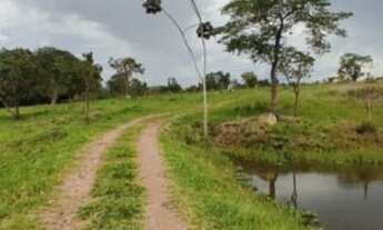 Imagem 4: CHÁCARA EM ANTONIO CARLOS