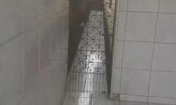 Imagem 3: Casa com 3 quartos para venda no Prefeito José Walter - CA54150