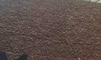 Imagem 7: Casa com 3 quartos para venda no Prefeito José Walter - CA54150