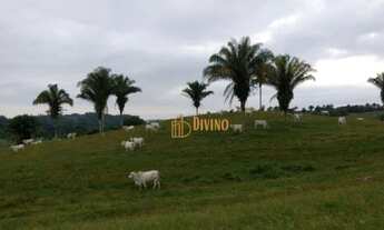Imagem: Fazenda à venda, 5977400 m² por R$ 18.000.000