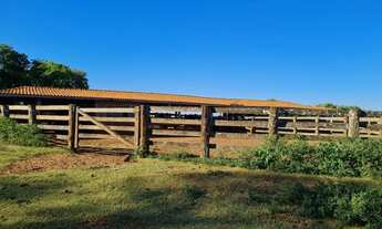 Imagem 4: Fazenda 1400 ha 96 km Campo Grande MS, beira da BR