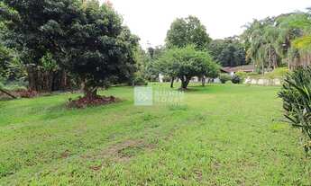 Imagem 2: Amplo terreno em ótima localização no bairro Itoupava Norte!