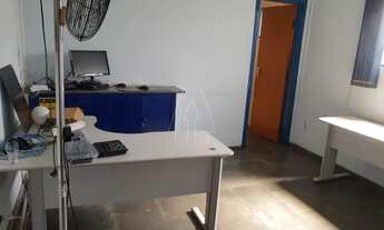 Imagem 7: Araçatuba - Imovel Comercial - Boa Vista