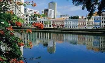 Imagem 5: ALY Pernambuco Construtora lançamento exclusivo, entre em contato e faça seu cadastro