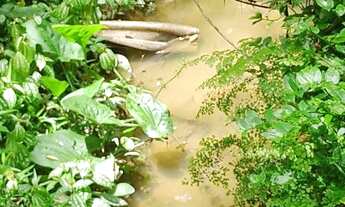 Imagem 6: Chácara com piscina oportunidade 250 mil reais