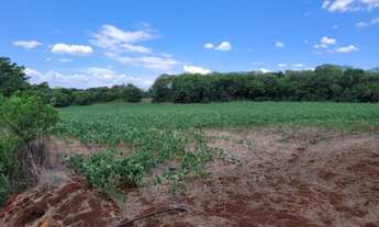 Imagem 4: AR 1021) 12 Hectares - Colonia Mousquer