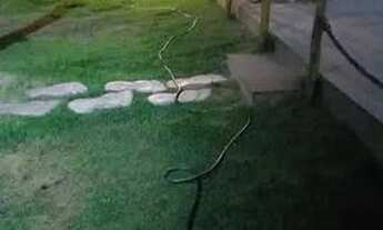 Imagem: Casa em Japaratinga