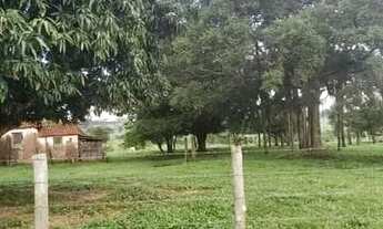 Imagem 2: Sitio em Neves Paulista com 2.36 alqueires excelente estrutura - Troca 100% em Rio Preto!